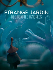 Etrange jardin, des beautés ignorées