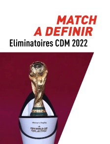 Football : Eliminatoires de la Coupe du monde UEFA - A définir