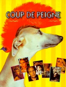 Coup de peigne