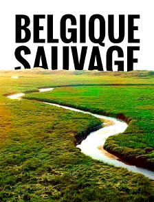 La Belgique sauvage