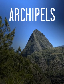 Archipels Réunion