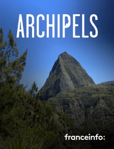 franceinfo: - Archipels Réunion