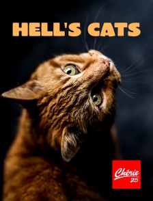 Chérie 25 - Hell's Cats
