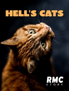 RMC Story - Hell's Cats en replay