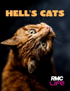 RMC Life - Hell's Cats