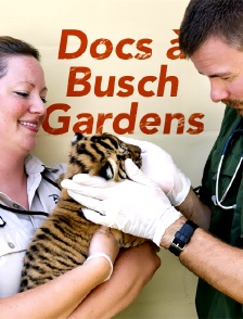 Docs à Busch Gardens
