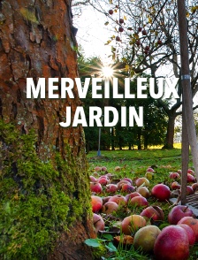 Merveilleux jardin