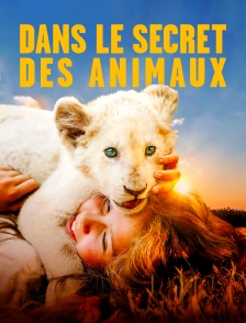 Dans le secret des animaux : la fille qui murmurait à l'oreille des lions