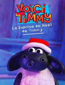 La surprise de Noël de Timmy