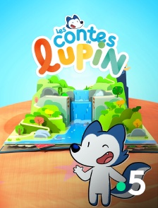 France 5 - Les contes de Lupin