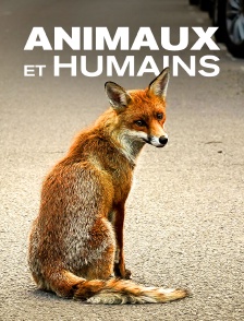 Animaux et humains, la Terre en partage