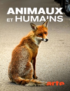 Arte - Animaux et humains, la Terre en partage