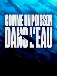 Comme un poisson dans l'eau