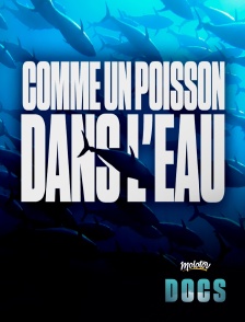 Comme un poisson dans l'eau