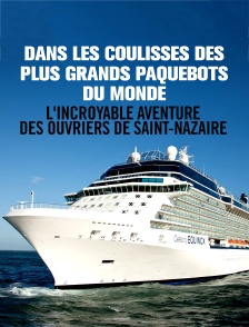 Dans les coulisses des plus grands paquebots du monde : l'incroyable aventure des ouvriers de Saint-Nazaire