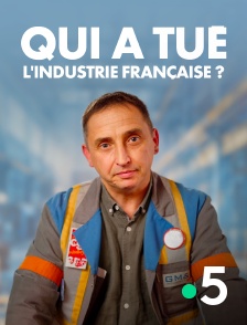 France 5 - Qui a tué l'industrie française ?