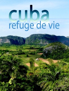 Cuba : refuge de vie