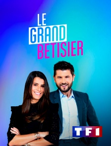 TF1 - Bêtisier 2025