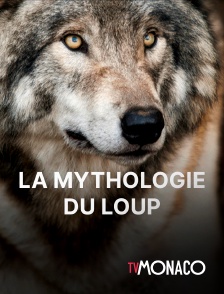 TV Monaco - La mythologie du loup