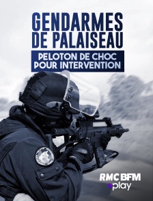 Gendarmes de Palaiseau : peloton de choc pour intervention