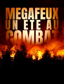 Mégafeux, un été au combat