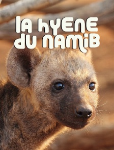 La hyène du Namib