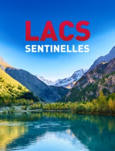 Lacs sentinelles