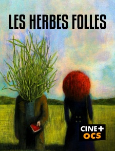 CINÉ Cinéma - Les herbes folles