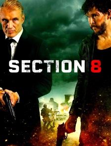 Section 8