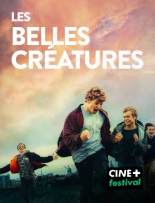 CINE+ Festival - Les Belles Créatures