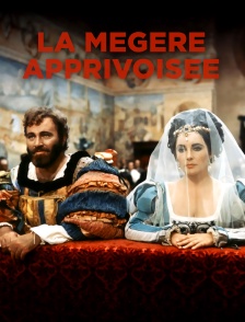 La mégère apprivoisée