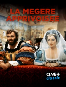 CINE+ Classic - La mégère apprivoisée