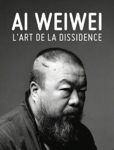 Ai Weiwei, l'art de la dissidence