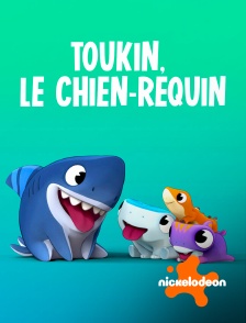 Nickelodeon - Toukin, le chien-requin