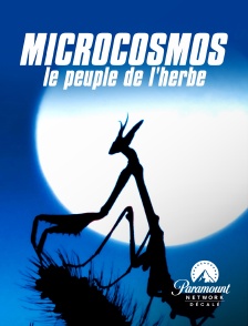 Paramount Network Décalé - Microcosmos, le peuple de l'herbe