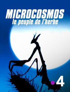 Microcosmos, le peuple de l'herbe