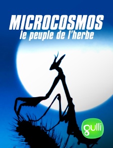 Gulli - Microcosmos, le peuple de l'herbe