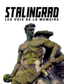 Stalingrad : les voix de la mémoire