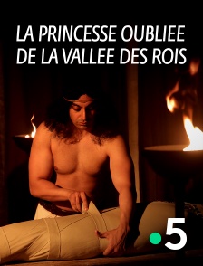 La princesse oubliée de la vallée des rois