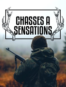 Chasses à sensations