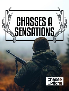 Chasse et pêche - Chasses à sensations en replay