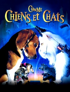 Comme chiens et chats