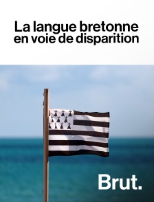 Brut - La langue bretonne en voie de disparition