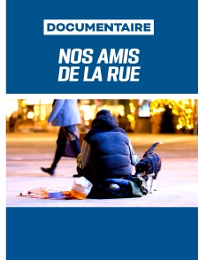 Nos amis de la rue
