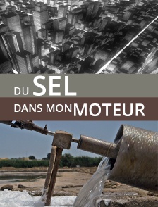 Du sel dans mon moteur