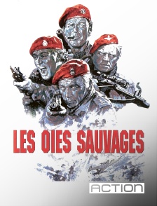 ACTION - Les oies sauvages