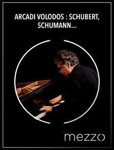 Mezzo - Arcadi Volodos : Schubert, Schumann - Fondation Louis Vuitton