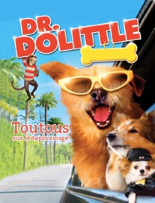 Docteur Dolittle : toutous sur le tapis rouge