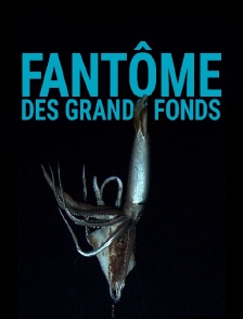 Fantôme des grands fonds