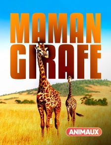 Maman Girafe